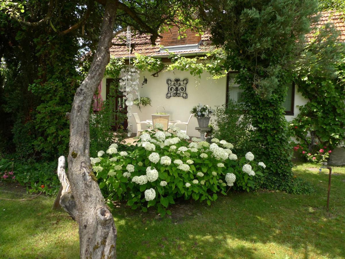 Gemuetliches Gaestehaus Berlin Bohnsdorf, Naehe Flughafen Schoenefeld Экстерьер фото